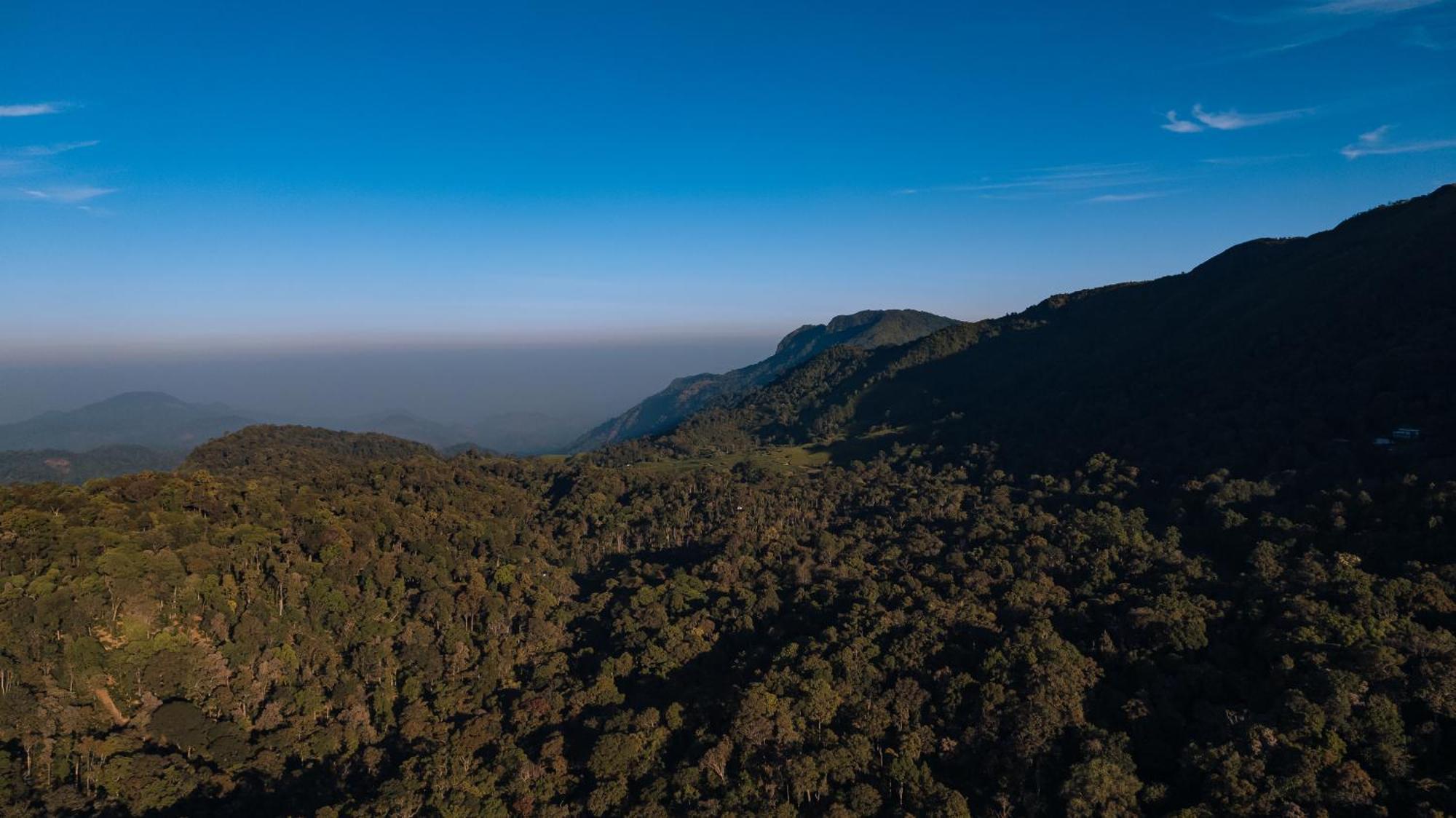 Elixir Woods Luxury Resort And Spa, Munnar Exteriör bild