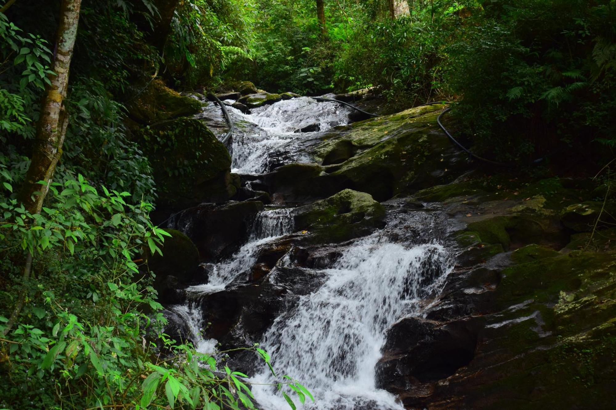Elixir Woods Luxury Resort And Spa, Munnar Exteriör bild